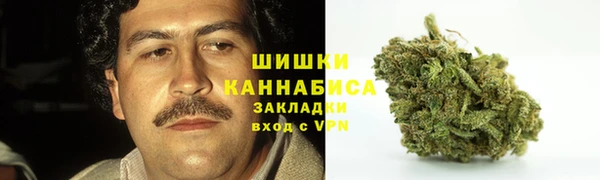 гидра Волоколамск