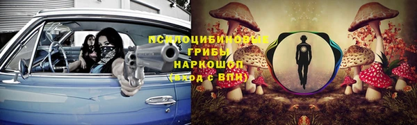 гидра Волоколамск