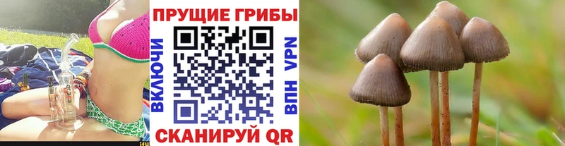 Галлюциногенные грибы Psilocybe  Купить закладки  Нижняя Салда 